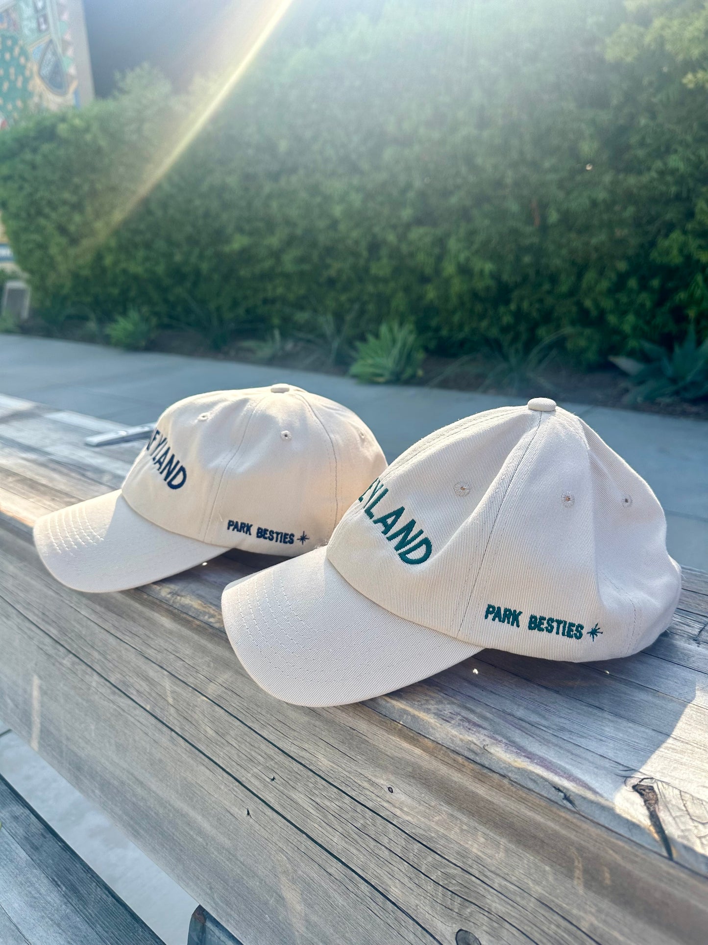 D-Land bestie cap